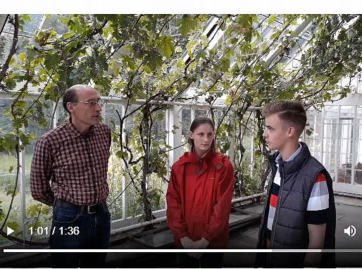 Ausschnitt aus Videoclip Orangerie in Hasses Park