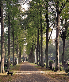 Riensberger Friedhof