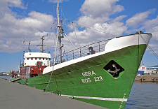 FMS Gera 