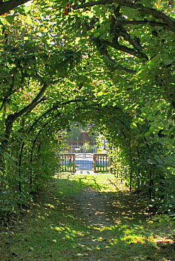 Lindenlaubengang im Arster Pfarrgarten