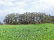 Frauen treffen gifhorn