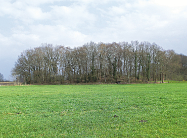 Bockhorner Binnendüne