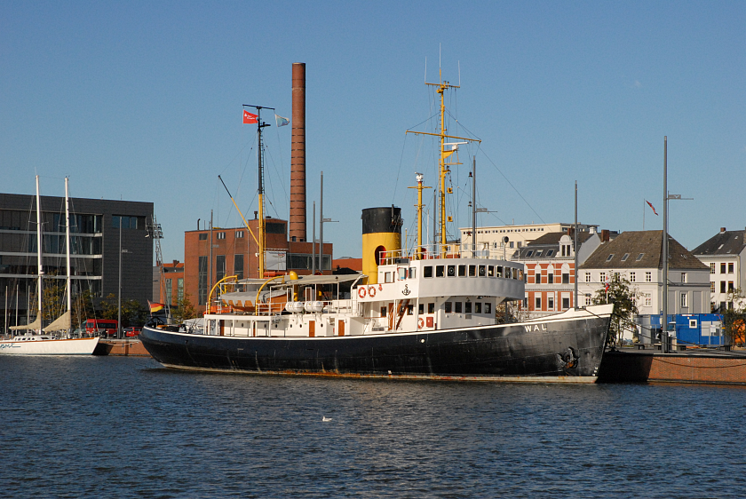 Dampfeisbrecher Wal
