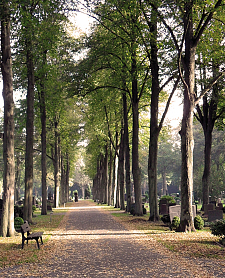 Riensberger Friedhof