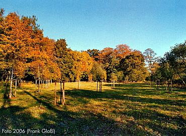 Obstgarten in Wätjens Park