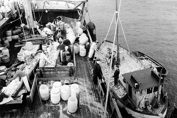 In den 1960er Jahren war die "GERA" während der Frühjahrs-Heringsfischerei als Übernahmeschiff der Küstenfischerei im Einsatz.