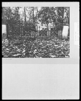 3. aktuelles Bild von 
