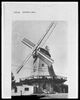 4. aktuelles Bild von Arberger Windmühle