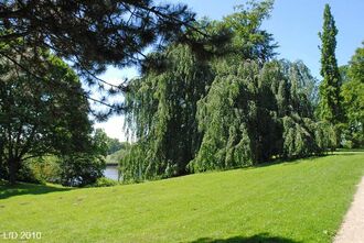 7. aktuelles Bild von Knoops Park & Gut Mühlenthal & Waldpark Mühlenthal