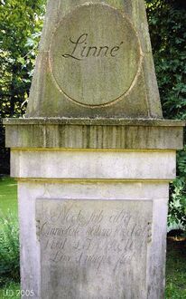 3. aktuelles Bild von Linnaeus-Obelisk