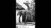4. historisches Bild von Wikingborg & Haus Parchmann