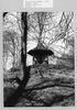 12. historisches Bild von Hasses Park