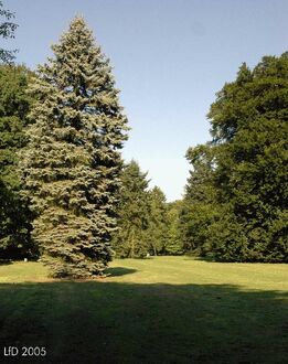 3. aktuelles Bild von Muhles Park & Böving'sches Landgut & Landgut Muhle