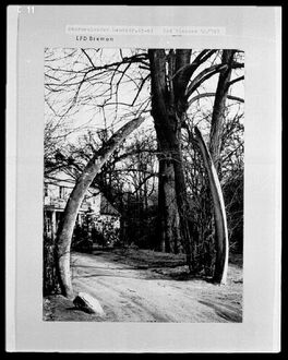 3. historisches Bild von Muhles Park & Böving'sches Landgut & Landgut Muhle