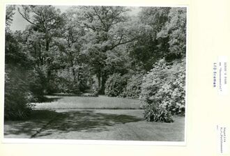 5. historisches Bild von Park Ichon