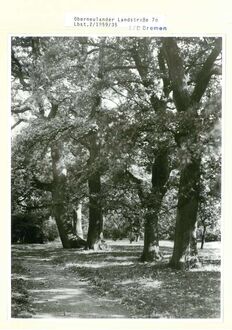 9. historisches Bild von Park Ichon