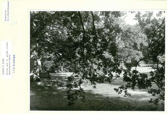 11. historisches Bild von Park Ichon