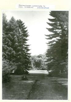 16. historisches Bild von Park Ichon