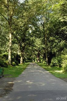 4. aktuelles Bild von Osterholzer Friedhof