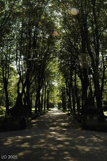 9. aktuelles Bild von Osterholzer Friedhof