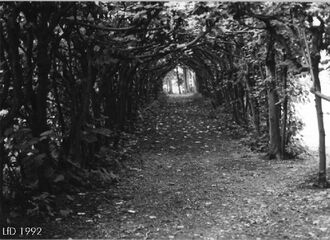 1. aktuelles Bild von St. Johannes-Gemeinde, Pfarrgarten