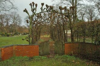 2. aktuelles Bild von St. Johannes-Gemeinde, Pfarrgarten