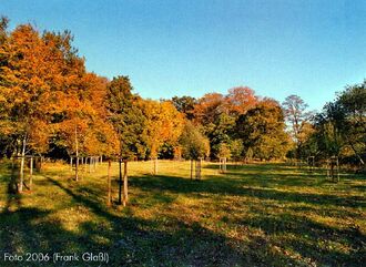 1. aktuelles Bild von Wätjens Landgut & Wätjens Park