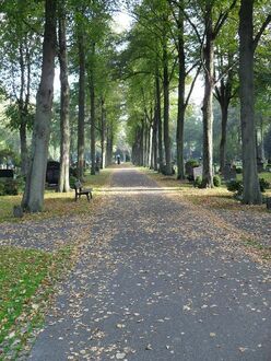 6. aktuelles Bild von Riensberger Friedhof