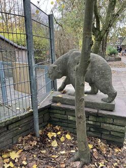 6. aktuelles Bild von Kindertagesheim im Waller Park