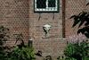 7. aktuelles Bild von Haus Schau
