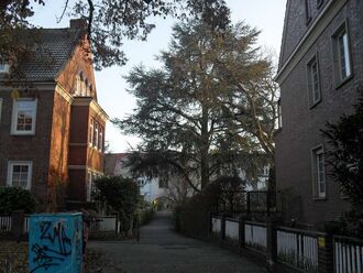 2. aktuelles Bild von 